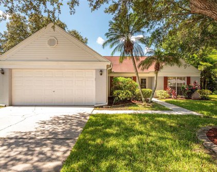 16207 Country Crossing Drive, Tampa