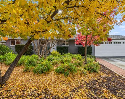 1147 Cuesta DR, Mountain View