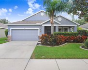 19421 Sunset Bay Drive, Land O' Lakes image