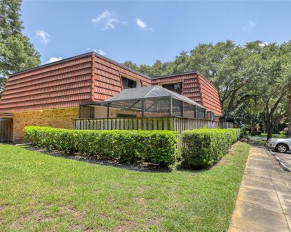 2617 2nd Court, Palm Harbor