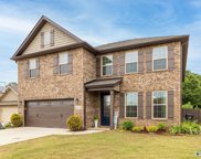 252 Willow Bank Circle, Priceville image