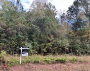 CR 3669C W May Road, Splendora image