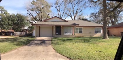6001 Bretshire Drive, Houston