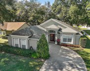3600 Meadow Green Drive, Tavares image
