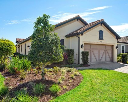 11298 Callisia Drive, Odessa