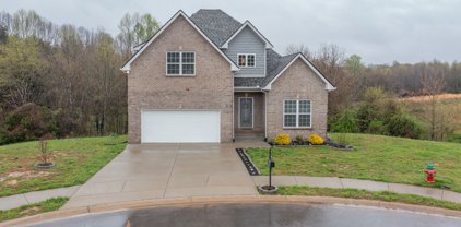 2010 N Azalea Ct, Ashland City