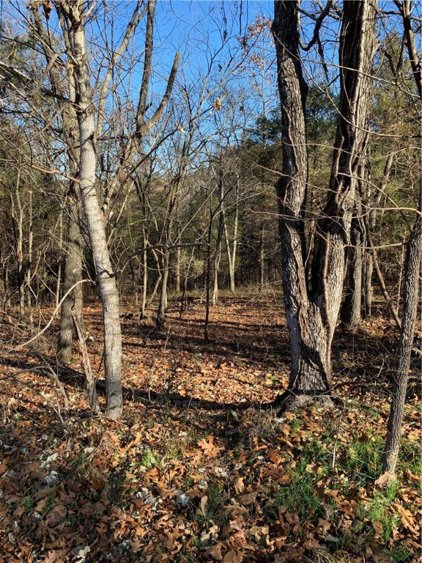 (Lot 22) Whitbeck Lane, Bella Vista
