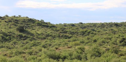 S Mt Lemmon/Campo Bonito, Oracle