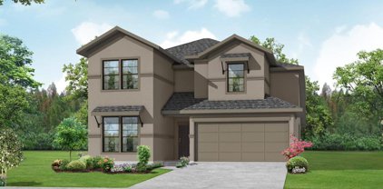 16203 Presa Overlook Trail, Cypress