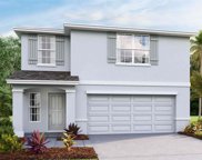 13683 Whiskey Daisy Drive, Dade City image