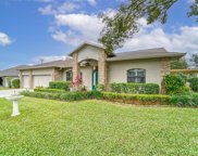 3969 Appletree Drive, Valrico image