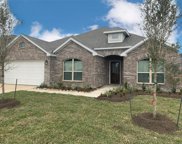 10719 Amador Peak Drive, Rosharon image