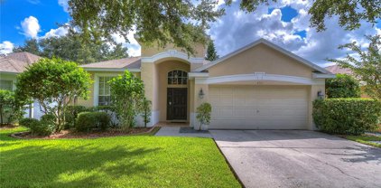 4765 Whispering Wind Avenue, Tampa