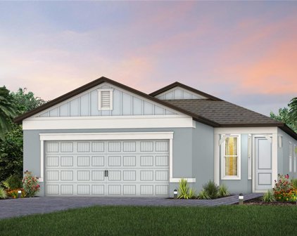 5981 Shorebird Branch, Land O' Lakes