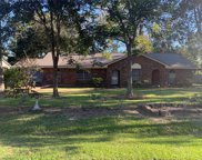 1176 County Road 136a, Alvin image