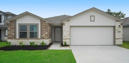 11736 Whirlaway Drive, Willis