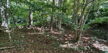 Lot 1, 32 & 33 Beechwood Circle, Creston