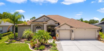 5641 Spectacular Bid Drive, Wesley Chapel