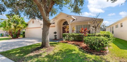 6800 Sparkling Way, Wesley Chapel