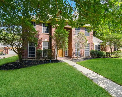12502 Beauline Abbey Street, Tomball