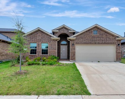 9105 Fescue  Drive, Fort Worth