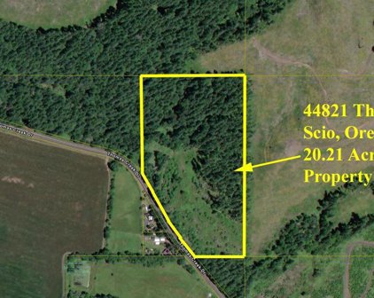 44821 Thomas Creek Dr, Scio
