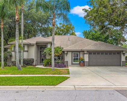 5707 Golden Owl Loop, Land O' Lakes