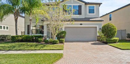 1926 Nature View Drive, Lutz