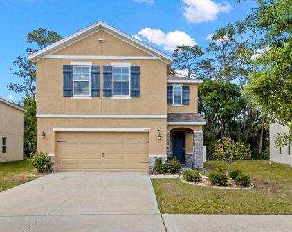 1016 Ashentree Drive, Plant City