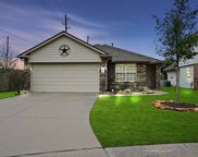 803 Dracena Court, Richmond image