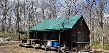 81 Forest, Beech Creek