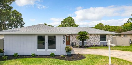 529 Dew Drop Cove, Casselberry