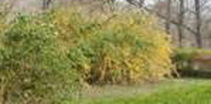 Tract 4 Roe Hill Rd, Brooks
