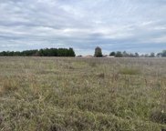 12625 FM 16, Winona image