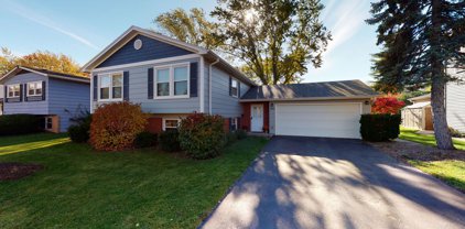 203 W Hintz Road, Arlington Heights