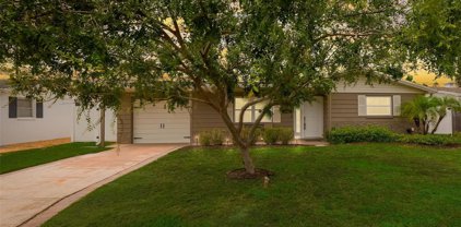 3301 Winder Drive, Holiday