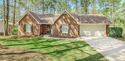 208 Planceer Pl, Peachtree City