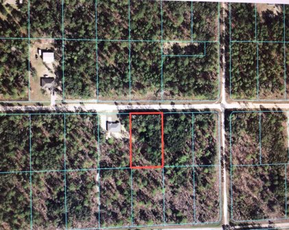 Sw 80 Street, Dunnellon