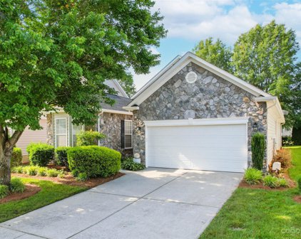 954 Platinum  Drive, Fort Mill