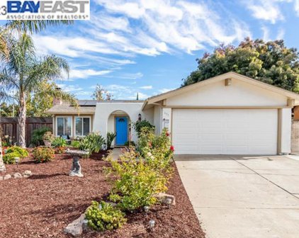 695 Buckeye Drive, Livermore
