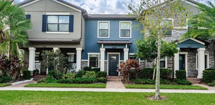 28607 Tranquil Lake Circle, Wesley Chapel