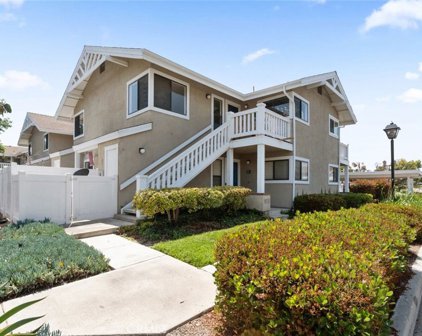 113 Tarocco, Irvine