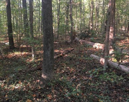 Lot 20 Rinard Ave, Beltsville