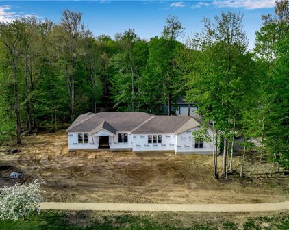 13367 Cherry Tree  Lane, Alden-Village-142001
