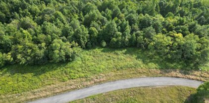 LOT # 23 River Ridge Ln, Mt. Nebo