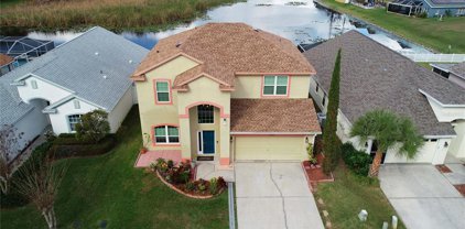 2641 Billingham Dr, Land O' Lakes