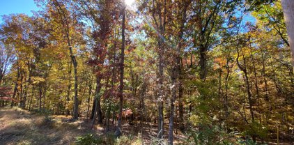Lot 177 Green Leaf Dr, Cross Junction