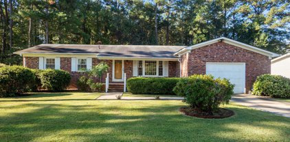 207 Pineview Road, Jacksonville