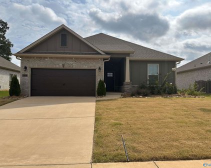 104 Pandilla Drive, Madison