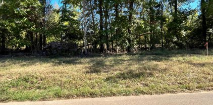 CR 2123 (lot 10), Whitehouse